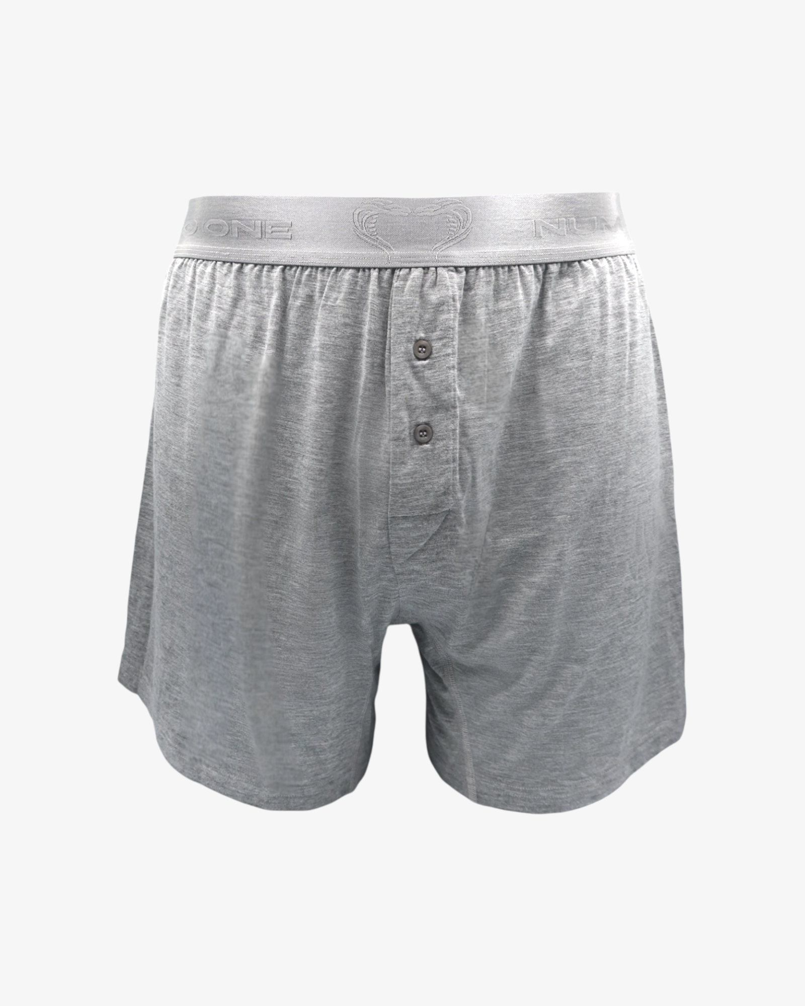 ELECTRIC SHORT - GREY