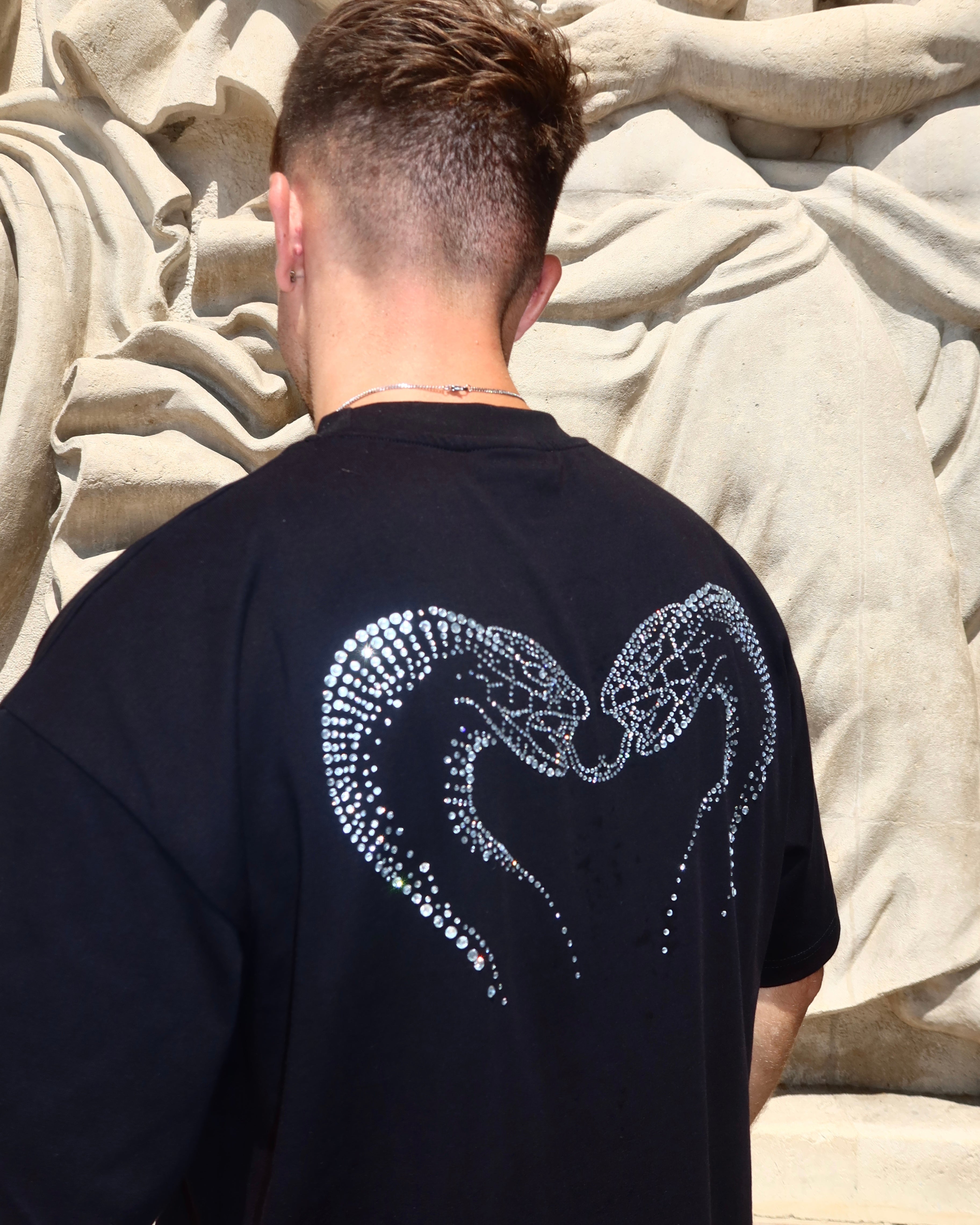 PACK T-SHIRT COBRA DIAMANT