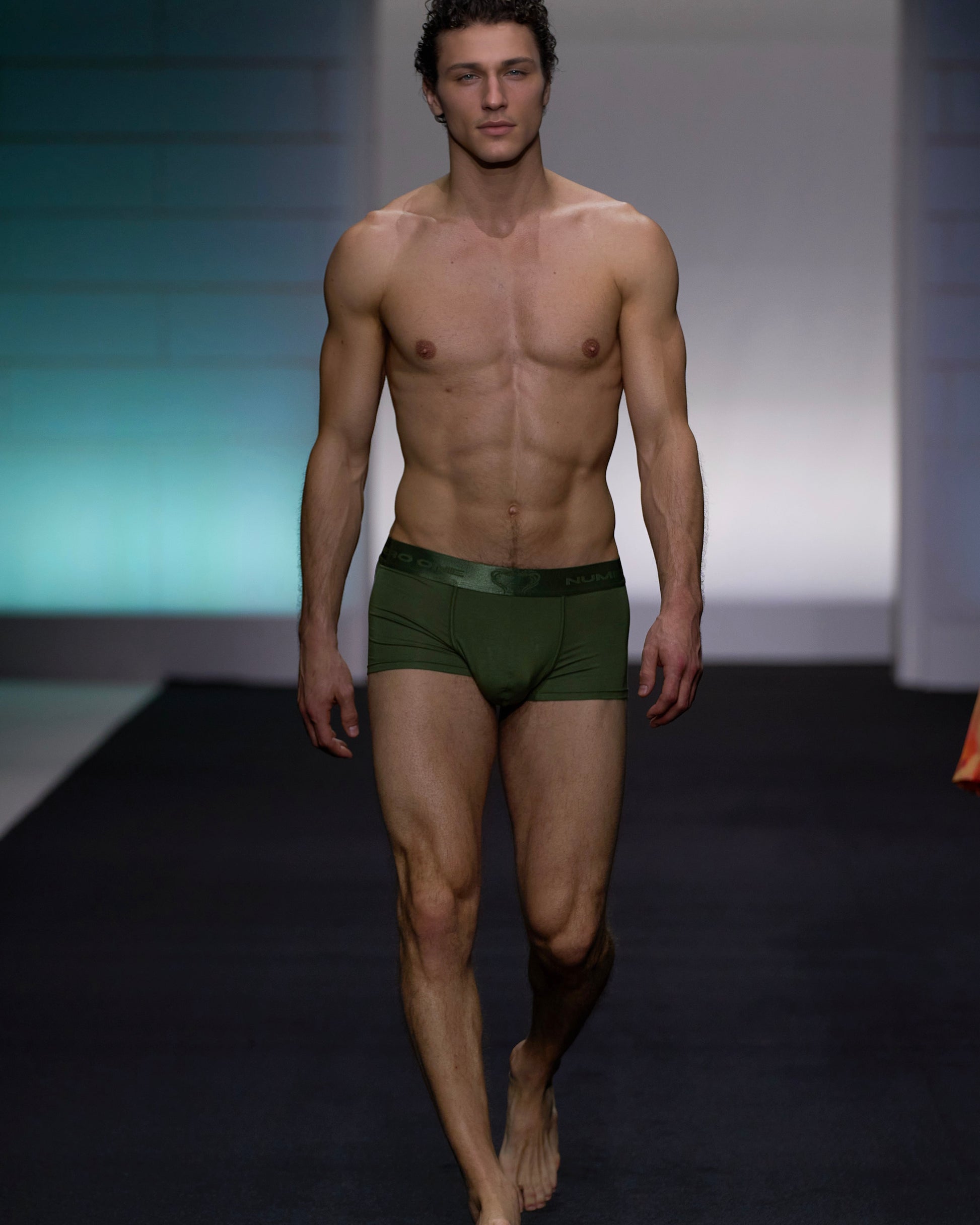 ELECTRIC BOXER - VERT EXOTIC